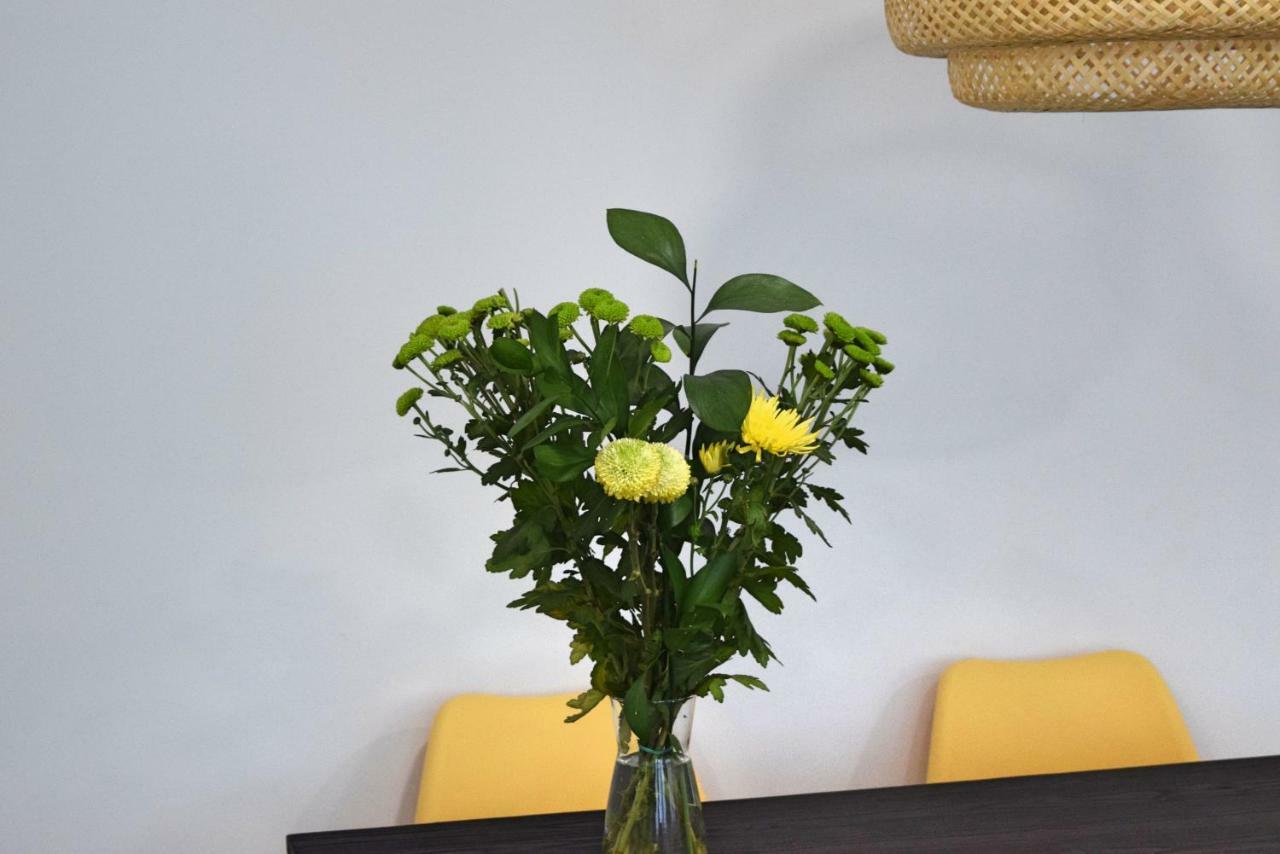 Soho Solo Familias Appartement *
